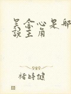 吴念心是哪部小说主角