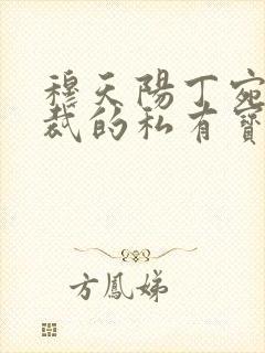 穆天阳丁宛晴总裁的私有宝贝