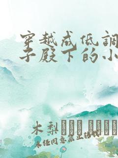 穿越成低调做皇子殿下的小说
