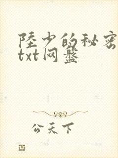 陆少的秘密恋人txt网盘