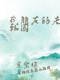 我朋友的老姐4韩国