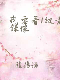 我要看1级黄色录像