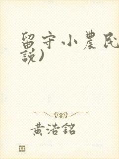 留守小农民(小说)