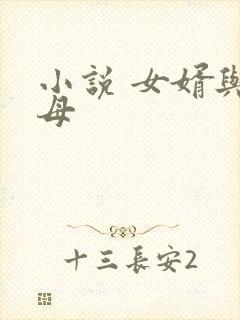 小说 女婿与岳母