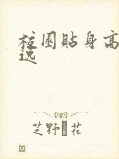 校园贴身高手林逸