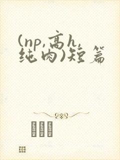 (np,高h,纯肉)短篇