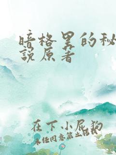 暗格里的秘密小说原著
