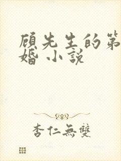 顾先生的第一宠婚 小说