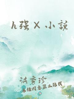h强×小说