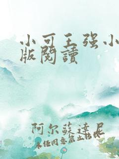 小可王强小说正版阅读