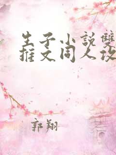 生子小说双男主推文同人攻文