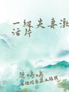 一级夫妻激情生活片