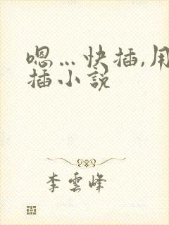 嗯…快插,用力插小说