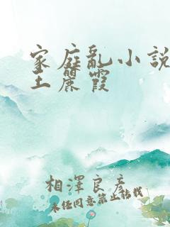 家庭乱小说熟妇王丽霞