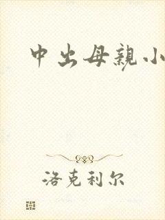中出母亲小说网