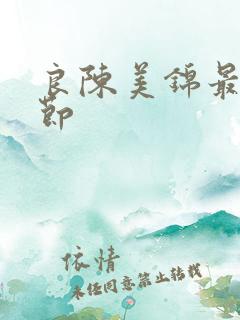 良陈美锦最新章节