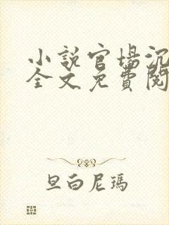 小说官场沉浮录全文免费阅读