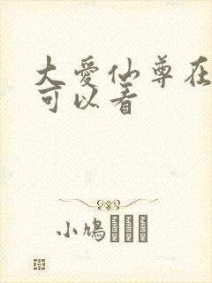 大爱仙尊在哪里可以看
