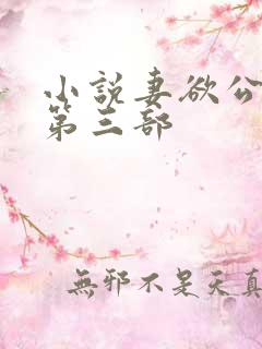 小说妻欲公与媳第三部