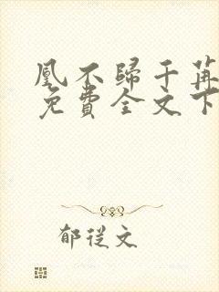 凰不归千苒君笑免费全文下载txt