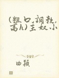 (粗口,调教,高h)主奴小说