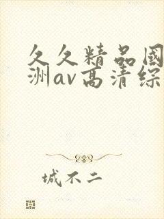 久久精品国产亚洲av高清综合