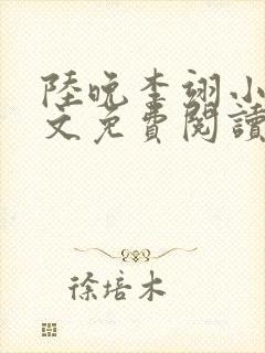陆晚李翊小说全文免费阅读无弹窗最新