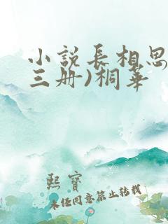小说长相思(全三册)桐华