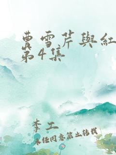 曹雪芹与红楼梦第4集