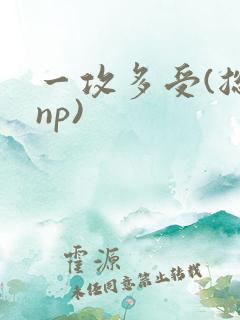 一攻多受(总攻np)