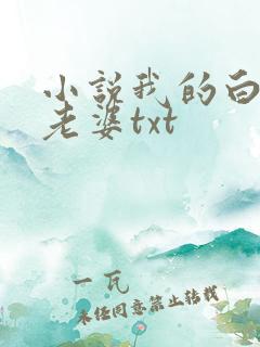 小说我的白富美老婆txt