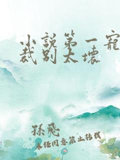 小说第一宠婚总裁别太坏