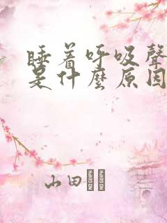 睡着呼吸声音大是什么原因