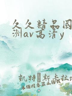 久久精品国产亚洲av高清y