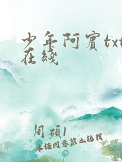 少年阿宾txt在线