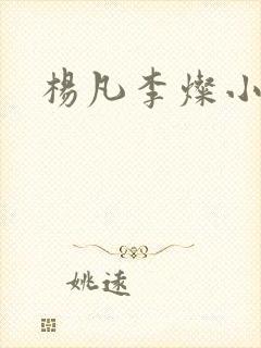 杨凡李灿小说