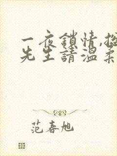 一夜锁情,总裁先生请温柔全文免费阅读