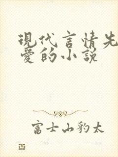 现代言情先婚后爱的小说