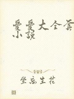 爱爱大全套激情小说