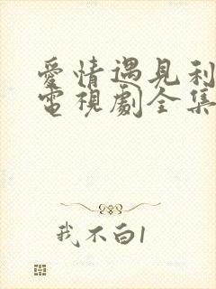 爱情遇见利先生电视剧全集