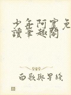 少年阿宾免费阅读笔趣阁