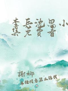 李兵沈思小说全集免费看