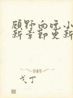 顾野向晚小说最新章节更新时间
