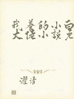 我养的小白脸是大佬小说免费阅读