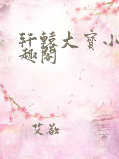 轩辕大宝小说笔趣阁