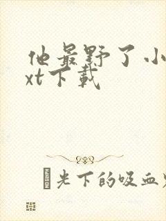 他最野了小说txt下载