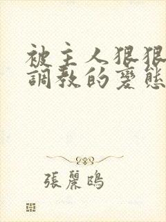 被主人狠狠玩弄调教的变态小说