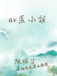 av区小说