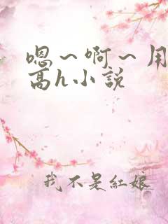 嗯～啊～用力～高h小说