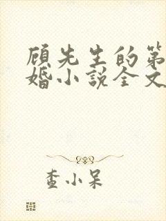 顾先生的第一宠婚小说全文